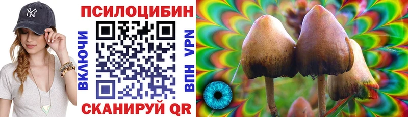 Псилоцибиновые грибы MAGIC MUSHROOMS  Купить где  Весьегонск 